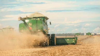 Foto iliustrativa de  Enero récord subió el 82% la liquidación de divisas del complejo oleaginoso-cerealero