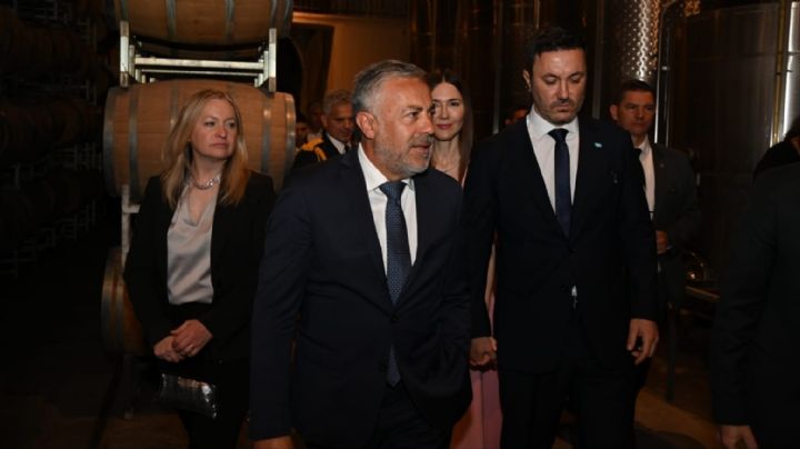 Cómo será el armado electoral de la UCR tras el congreso partidario