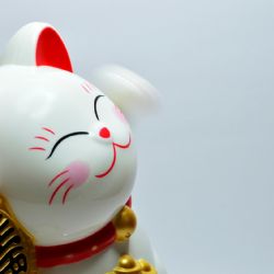 Horóscopo chino: qué proyectan los astros para este finde largo