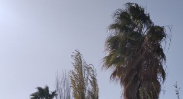 Fuertes ráfagas que anticipan el frente frío