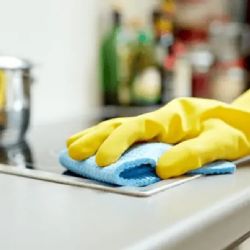 Aumento para empleadas domésticas