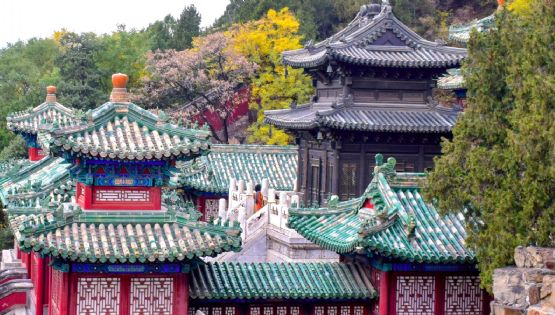 Horóscopo chino: los desafíos de la astrología para este jueves