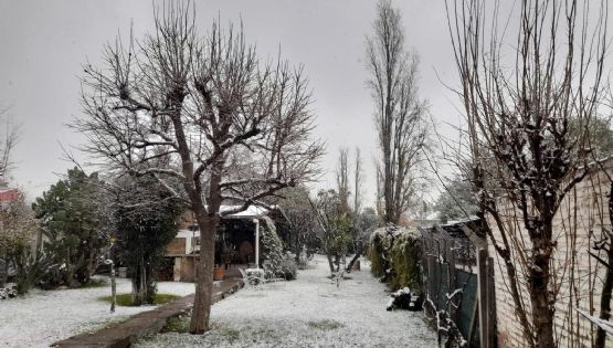 Nieve en Mendoza: así está la provincia