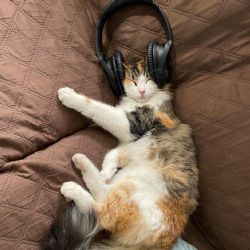Las cinco canciones que te harán dormir profundamente