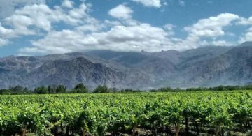 Del interior productivo se extrajeron U$S 200 mil millones
