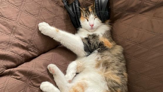 Las cinco canciones que te harán dormir profundamente