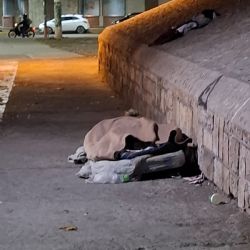 Nadie responde en los teléfonos de Gobierno por la gente de la calle