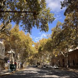 Sube la temperatura y vuelven los días cálidos y soleados