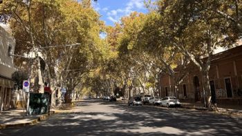 Vuelve la primavera: la máxima será de 27° este jueves