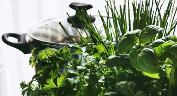 Enriquece tu cocina: tres plantas aromáticas fáciles de cuidar
