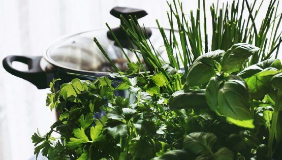 Enriquece tu cocina: tres plantas aromáticas fáciles de cuidar