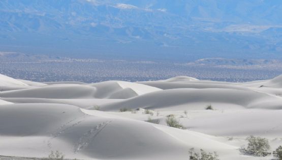 El "Sahara argentino": el destino oculto del norte