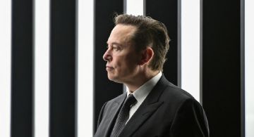 Elon Musk anunció un nuevo partido político en EEUU