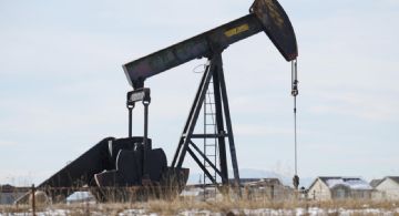 ¿Se estanca Vaca Muerta? Las pymes industriales advierten por un freno de la actividad