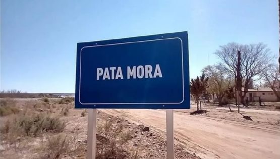 Mendoza lanza concurso público para avanzar en el Polo Logístico en el sur