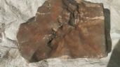 Foto ilustrativa de la nota titulada: El mayor meteorito de Marte en la Tierra sale a subasta