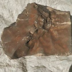 El mayor meteorito de Marte en la Tierra sale a subasta