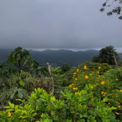 La Ciudad Perdida de Colombia: una joya arqueológica