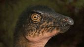 Foto ilustrativa de la nota titulada: Descubren huesos de dinosaurio bajo un estacionamiento