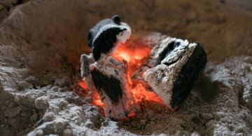 Cinco ideas para reutilizar las cenizas del asado 