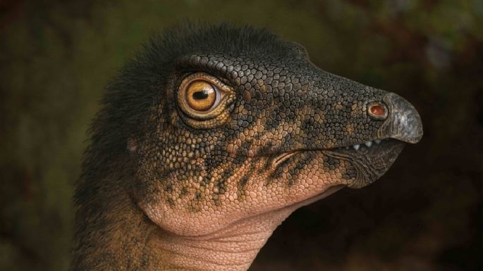 Descubren huesos de dinosaurio bajo un estacionamiento