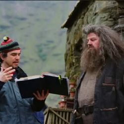 Cómo será el personaje de Hagrid en la serie de Harry Potter