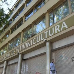 El laberinto de la vitivinicultura