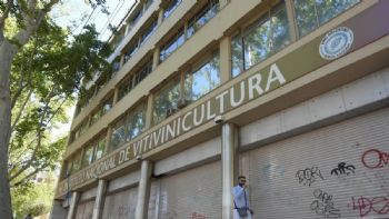 Desregulación del vino: ¿modernización o renuncia estratégica?