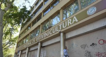 El Gobierno flexibilizó los controles en la industria vitivinícola: derogan más de 900 normas