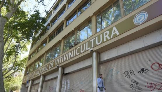 El laberinto de la vitivinicultura