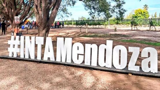 A pesar del rechazo legislativo, el Gobierno avanza con la reducción de la estructura del INTA