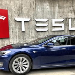 Por la intervención en política de Musk, cayó la venta de autos de Tesla
