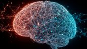 Foto ilustrativa de la nota titulada: ACV y demencia, las enfermedades que más afectan al cerebro 