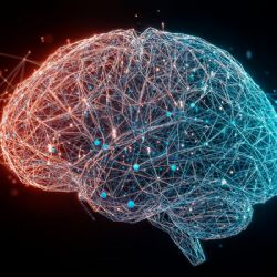 ACV y demencia, las enfermedades que más afectan al cerebro 