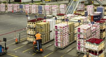 Con leve baja mensual, la actividad económica subió 5% interanual en mayo