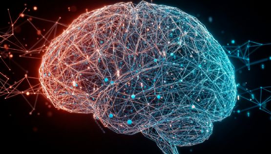 ACV y demencia, las enfermedades que más afectan al cerebro 