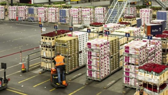 Con leve baja mensual, la actividad económica subió 5% interanual en mayo