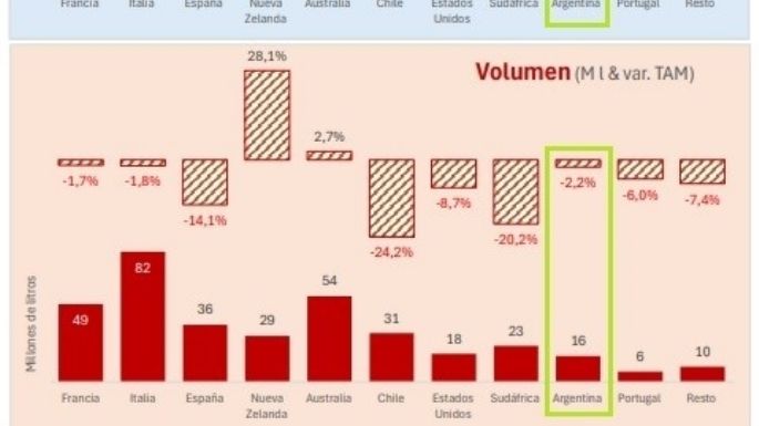 Vitivinicultura: se achica un mercado clave para Argentina
