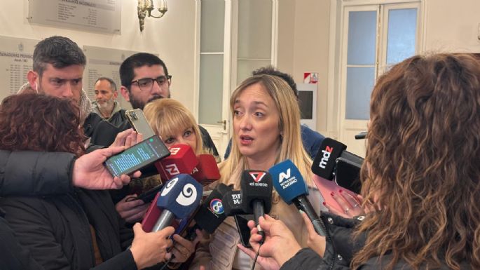 Fuerte interna en el PJ: tildan de "torpeza política" el pedido de voto remoto de Fernández Sagasti
