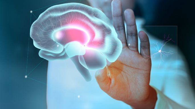 Qué dice la edad biológica del cerebro sobre tu salud mental