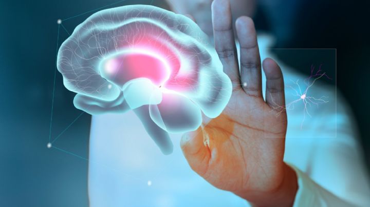 Qué dice la edad biológica del cerebro sobre tu salud mental