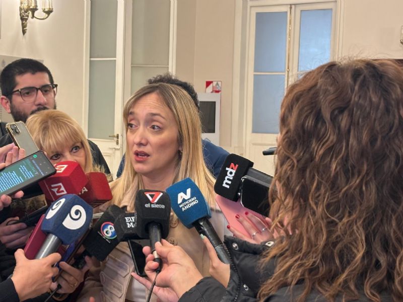 Fuerte interna en el PJ: tildan de "torpeza política" el pedido de voto remoto de Fernández Sagasti