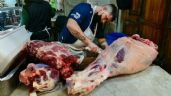Foto ilustrativa de la nota titulada: Argentina le compró 1.000 toneladas de carne a Brasil y rompió un récord desde 1997