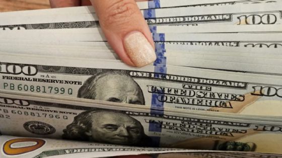 El dólar oficial operó estable en el inicio de la semana 