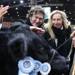Milei anunciará baja de retenciones a la carne