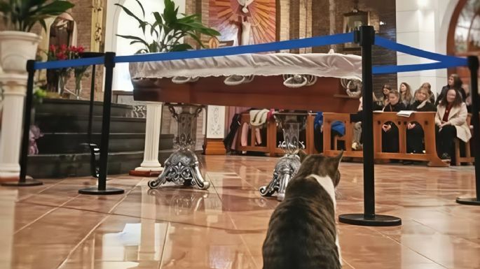Murió un cura en Neuquén y su gato "Pascual" fue al velorio a despedirse 