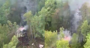 Un avión Antonov An-24 se estrelló en Rusia y no dejó sobrevivientes