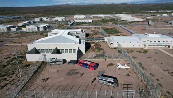 El Partido Verde exige informes al Gobierno por el uso descontrolado de celulares en las cárceles
