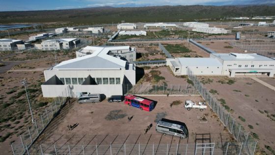El Partido Verde exige informes al Gobierno por el uso descontrolado de celulares en las cárceles