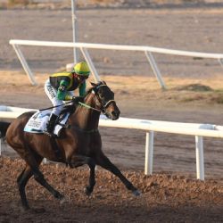 Clásico Patrono Santiago: Code Breaker fue el ganador de la edición número 70